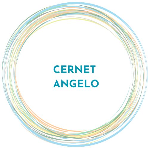 logo cernet angelo