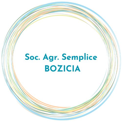 logo bozicia