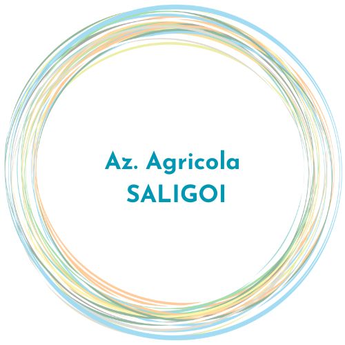 logo Saligoi