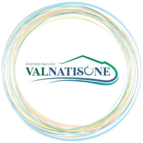 logo valnatisone