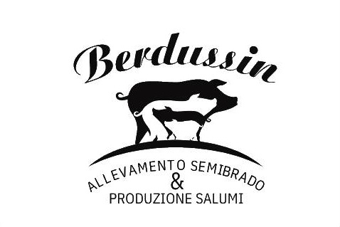 logo Berdussin