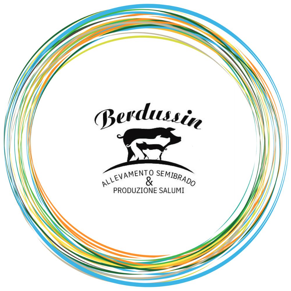 logo Berdussin